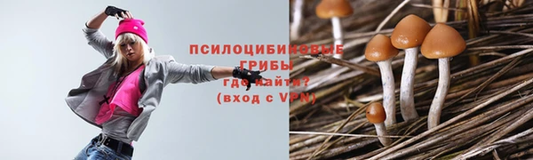 трава Баксан